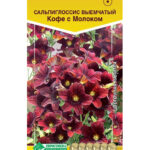 Цветы одн. Сальпиглоссис "Кофе с молоком" выемчатый 5шт ЕС
