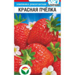 Земляника "Красная Пчелка" 10шт СС