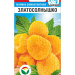 Малина "Златосолнышко" 10шт СС