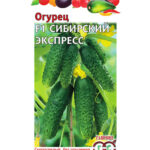Огурец "Сибирский экспресс F1" 10шт Гавриш