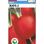 Редис "Жара-2" 2г СС
