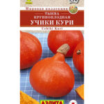 Тыква "Учики Кури" 1г Аэлита