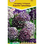 Цветы дв. Гвоздика "Корона Грешницы" 5 шт. ЕС