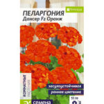 Цветы ком. Пеларгония "Дансер Оранж F2" зональная 4шт СА