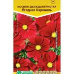 Цветы одн. Космея "Ягодная Карамель" 0,1г ЕС