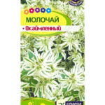 Цветы одн. Молочай "Горный снег Окаймленный" 0,5г СА