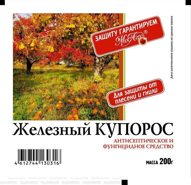42163bea Фунгицид "Железный купорос" 200 г. — изображение 1