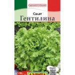 Салат "Гентилина" 0,5г Аэлита