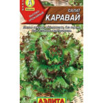 Салат "Каравай" листовой 0,5г Аэлита