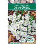 Цветы мн. Песчанка  "Белое Облако" 15шт ЕС