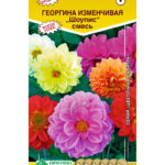 Цветы одн. Георгина "Шоупис" смесь 0,1г ЕС