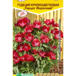 Цветы одн. Годеция "Герцог Йоркский" 0,1 г ЕС