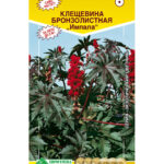 Цветы одн. Клещевина "Импала Бронзолистная" 2г ЕС