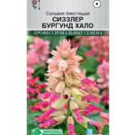 Цветы одн. Сальвия "Сизлер Бургунд Хало" 0,05г ЕС