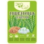 Сидерат "Пшеница" 500г