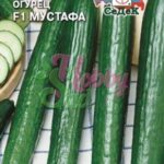Огурец "Мустафа F1" 0,15г Седек