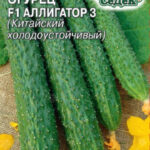 Огурец "Аллигатор 3 F1" Седек