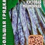 Фасоль "Мраморная спаржевая кустовая" Большая грядка 25шт (Ред.сем)