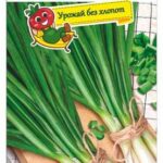 Лук "Кайгаро" на зелень 100шт СС