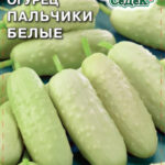 Огурец "Пальчики Белые" 0,3г Седек