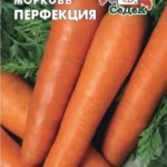 Морковь "Перфекция" 2г Седек