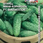 Огурец "Филиппок F1" 0,3г СЕДЕК