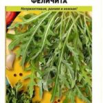 Руккола "Феличита" 0,5г НК
