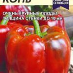 Перец сладкий "Конь" 10шт СА 