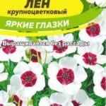 Цветы одн. Лен "Яркие глазки" 0,3г СА