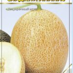 Дыня "Сладкий Ананас" 0,5г АСК