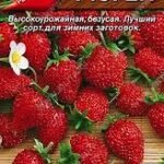 Земляника "Рюген" 0,04г Аэлита