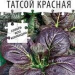 Капуста китайская "Тотсой красная" 0,1г Аэлита