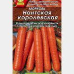 Морковь "Нантская королевская" 2г Аэлита