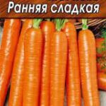 Морковь "Ранняя сладкая" 2г Аэлита