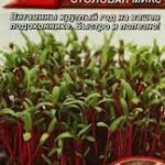П Микрозелень "Свекла столовая микс" 5г Аэлита 