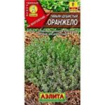 П Тимьян "Оранжело" 10шт Аэлита