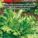 Салат "Кучерявенький сибирский" 0,5г Аэлита