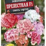 Цветы ком. Пеларгония "Прелестная F1" смесь 5шт Аэлита