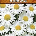 Цветы мн. Нивяник "Аляска" Аэлита