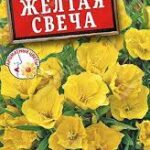 Цветы мн. Энотера "Желтая свеча" 0,2г Аэлита