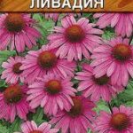 Цветы мн. Эхинацея "Ливадия" 0,3г Аэлита