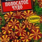 Цветы одн. Бархатцы "Полосатое чудо" 0,1г Аэлита