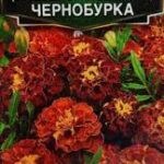 Цветы одн. Бархатцы "Чернобурка" 0,3г Аэлита 