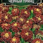 Цветы одн. Бархатцы "Черный принц" 0,3г Аэлита