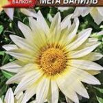 Цветы одн. Гацания "Балконная мега ВАНИЛЬ" 4шт Аэлита