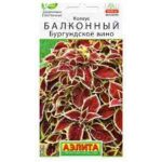 Цветы одн. Колеус "Бургундское вино" 5шт Аэлита