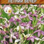 Цветы одн. Маттиола "Летний вечер" 0,5г Аэлита 
