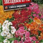 Цветы одн. Немезия "Звездный путь" смесь 0,03г Аэлита 