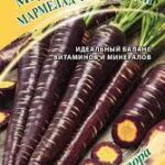 Морковь "Мармелад фиолетовый" 150 шт. Гавриш