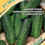 Огурец "Могучая Кучка F1" 10шт Гавриш 